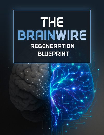 Audifort bonus e-book The Brainwire Regeneration Blueprint