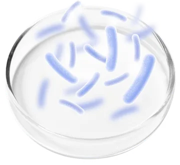 Probiotic blend, official ingredient image