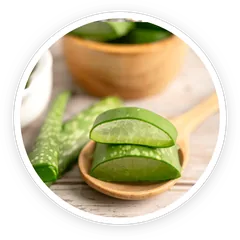 Aloe vera