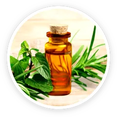 Tea tree oil