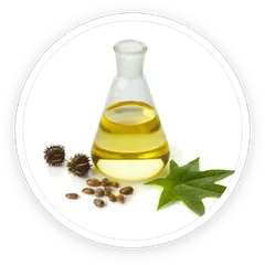 Undecylenic acid