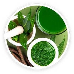 Neem leaves
