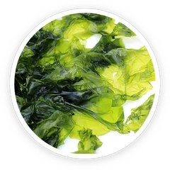 Nori seaweed