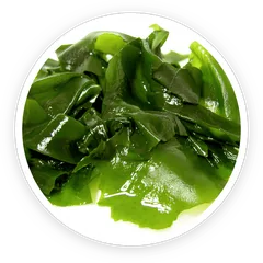 Wakame seaweed