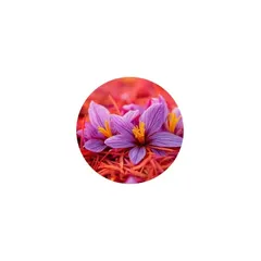 Deep red saffron threads spilling from a small ceramic dish